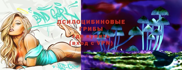 скорость Алзамай