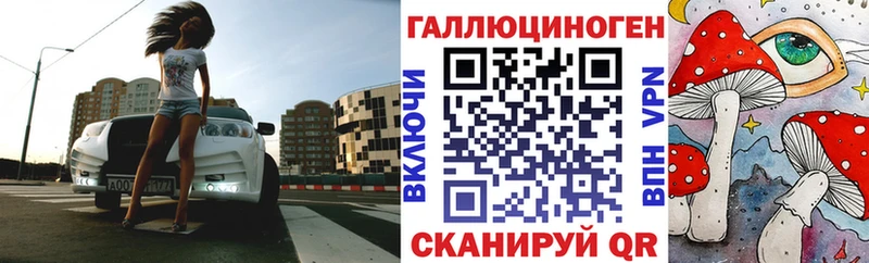 Псилоцибиновые грибы Cubensis  купить наркоту  Камызяк 