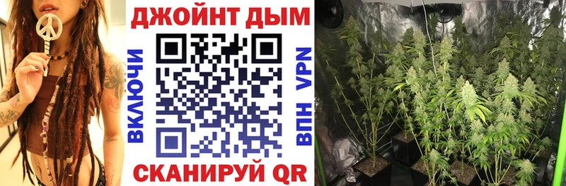 mega онион  Камызяк  Бошки Шишки конопля 